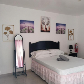 Michelle's Apartment alcoy